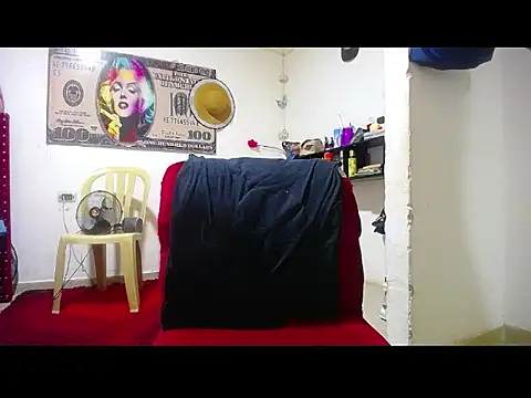 harry lia  online show from 28, 10, 2025