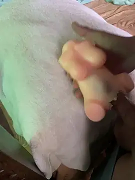 anonimotarado12 online show from 9, 10, 2025