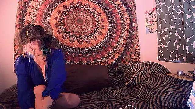 HeyyImHarlowe online show from 7, 3, 2026