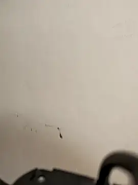 AvaLloyd online show from 20, 2, 2026