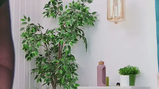 EmilyColle  online show from 3, 3, 2026