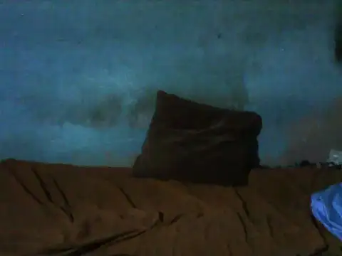 little  joy online show from 16, 12, 2025