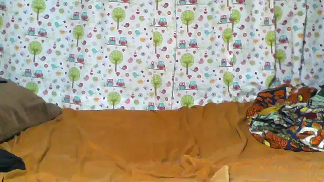 little  joy online show from 24, 2, 2026