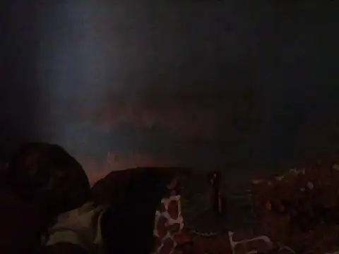 little  joy online show from 12, 3, 2025