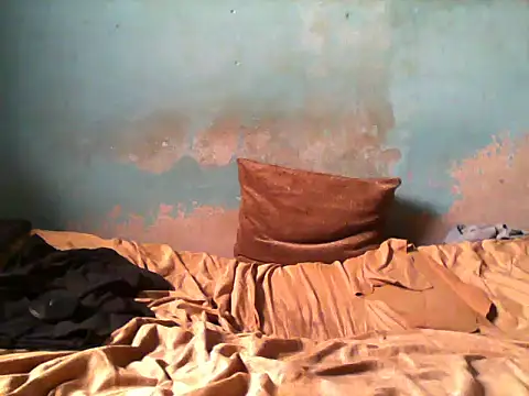 little  joy online show from 7, 2, 2026