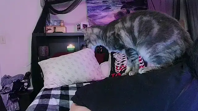 CrystalLakeXO online show from 17, 1, 2026