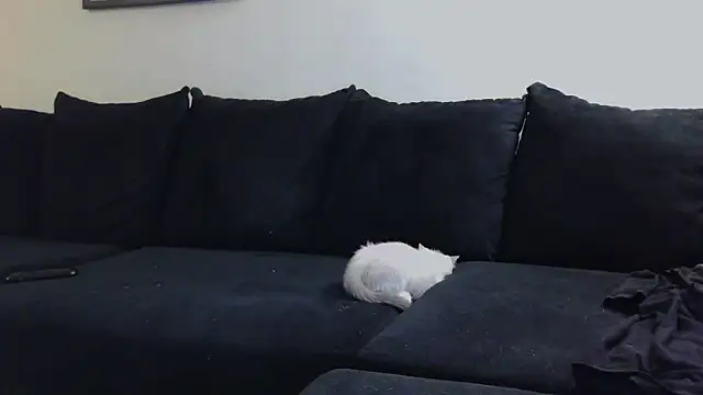 CrystalLakeXO online show from 23, 10, 2025