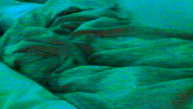 Everydayonli online show from 16, 1, 2026