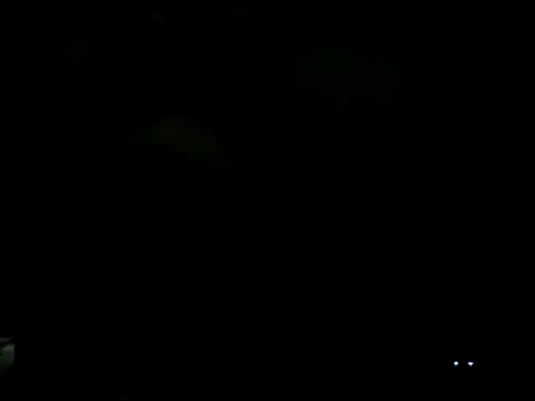 Everydayonli online show from 6, 2, 2025