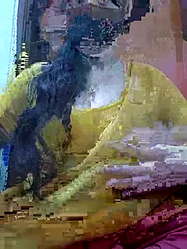 Anjel Sadia online show from 27, 2, 2026