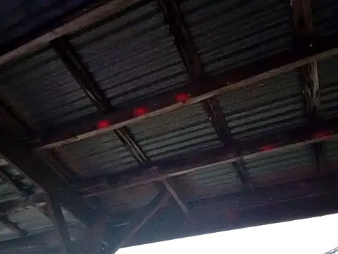 Xoc8  online show from 1, 12, 2025