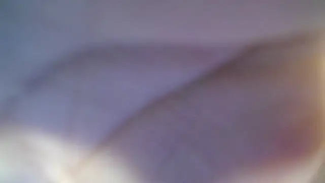 skeler lovd b  online show from 20, 3, 2026