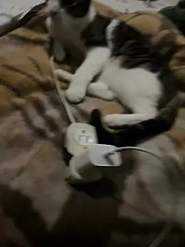 K Intraven0us online show from 19, 2, 2026