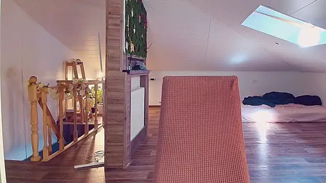 Meowroslava online show from 24, 4, 2026