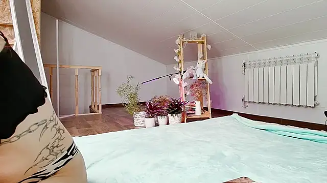 Meowroslava online show from 19, 11, 2025