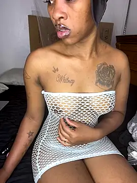 Petite Shawery online show from 16, 9, 2025