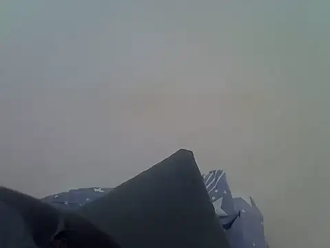 miss tash online show from 19, 2, 2026