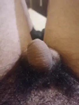 Dortmund69nn online show from 27, 2, 2026