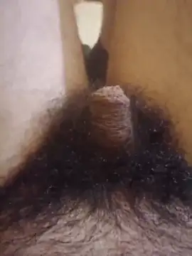 Dortmund69nn online show from 23, 2, 2026