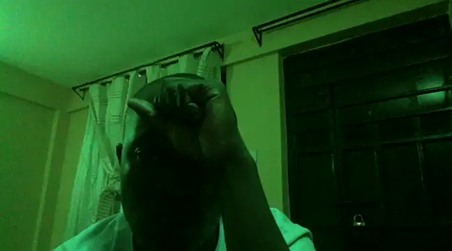 Maestro0023 online show from 10, 1, 2025