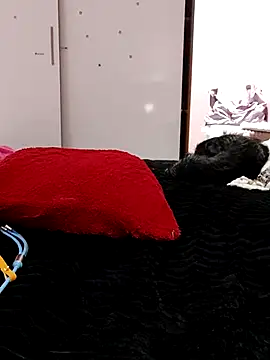 melissa 35  online show from 31, 10, 2025