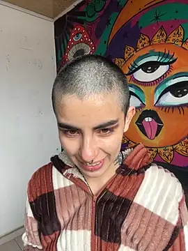  Artemisa X online show from 14, 11, 2025