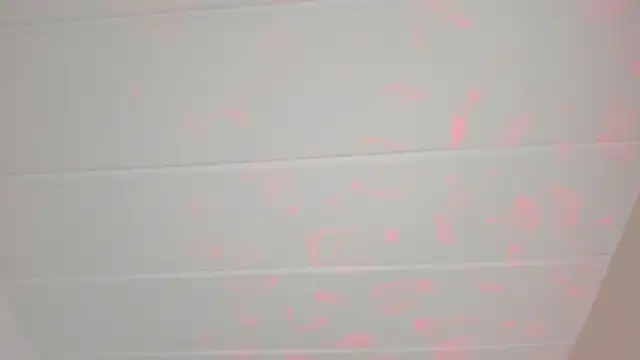 Snapshot of party-naugthysex chatting on 12, 2, 2025 party-naugthysex online show from 12, 2, 2025