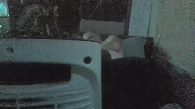 jaxx12369 online show from 22, 2, 2026