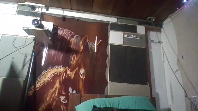 jaxx12369 online show from 25, 2, 2026