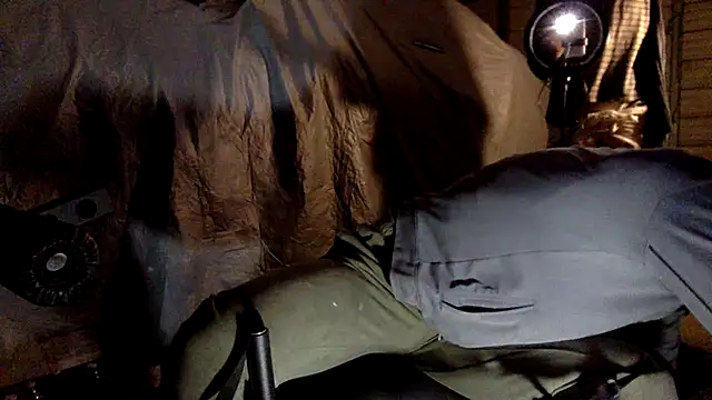 TheOnlyTwinTowers online show from 12, 12, 2024