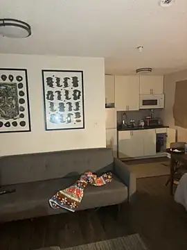 TheOnlyTwinTowers online show from 5, 3, 2026