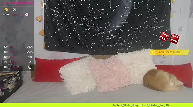 Snapshot of darling_tony chatting on 9, 12, 2024 darling tony online show from 9, 12, 2024
