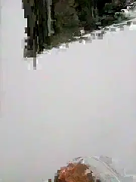 Beto0815 online show from 30, 3, 2026