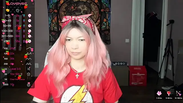 Project hisoka online show from 12, 5, 2026