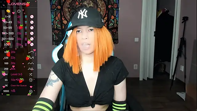 Project hisoka online show from 4, 4, 2026