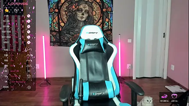 Project hisoka online show from 22, 11, 2025