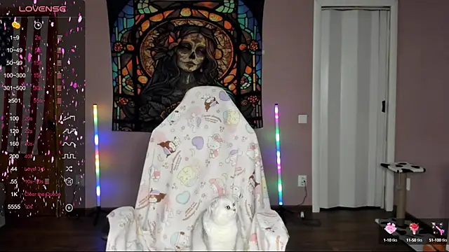 Project hisoka online show from 9, 3, 2025