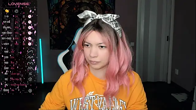 Project hisoka online show from 14, 11, 2025