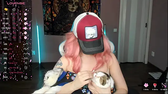 Project hisoka online show from 6, 11, 2025