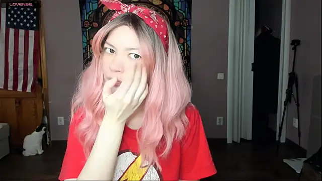 Project hisoka online show from 21, 4, 2026