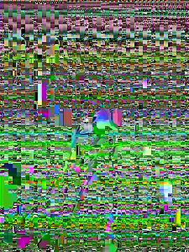 Snapshot of cadenfoxx111 chatting on 13, 5, 2026 cadenfoxx111 online show from 13, 5, 2026