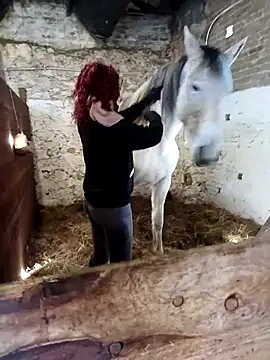 Tortuga95PL online show from 12, 2, 2026