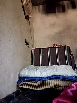 Yasha 14C Creator online show from 4, 12, 2025