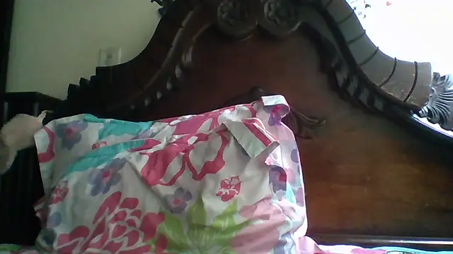 trianabell online show from 29, 11, 2025