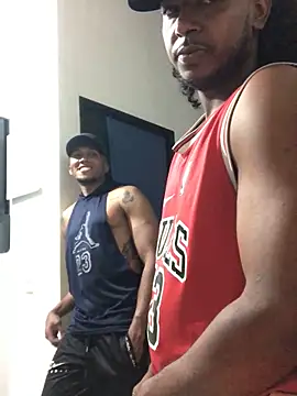 gavi 19cm online show from 17, 11, 2025