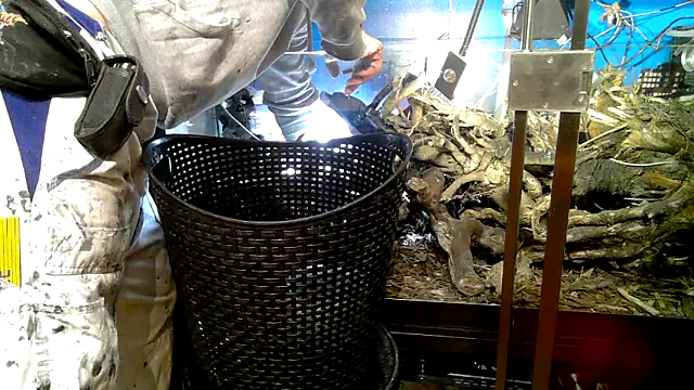 Snapshot of 0815lukas2024 chatting on 7, 10, 2025 0815lukas2024 online show from 7, 10, 2025