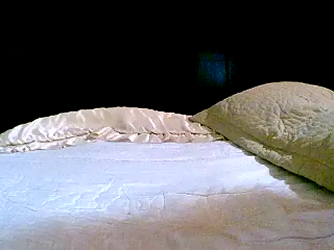 Snapshot of pollarikaaa chatting on 14, 12, 2024 pollarikaaa online show from 14, 12, 2024