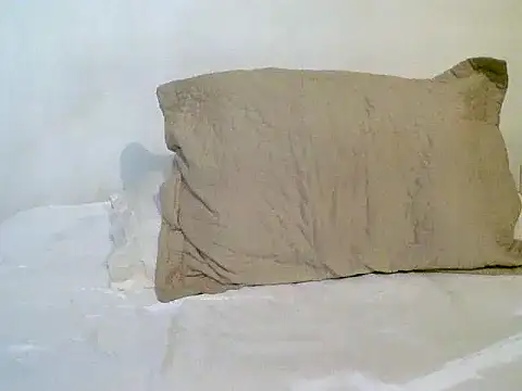 Snapshot of pollarikaaa chatting on 1, 11, 2025 pollarikaaa online show from 1, 11, 2025