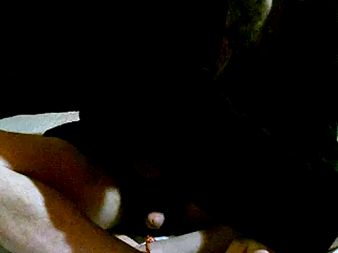 Snapshot of pollarikaaa chatting on 3, 1, 2025 pollarikaaa online show from 3, 1, 2025