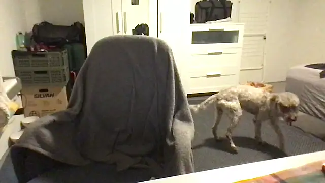 Totipro69 online show from 16, 2, 2025